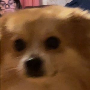 Meet your Posher, Oswaldo